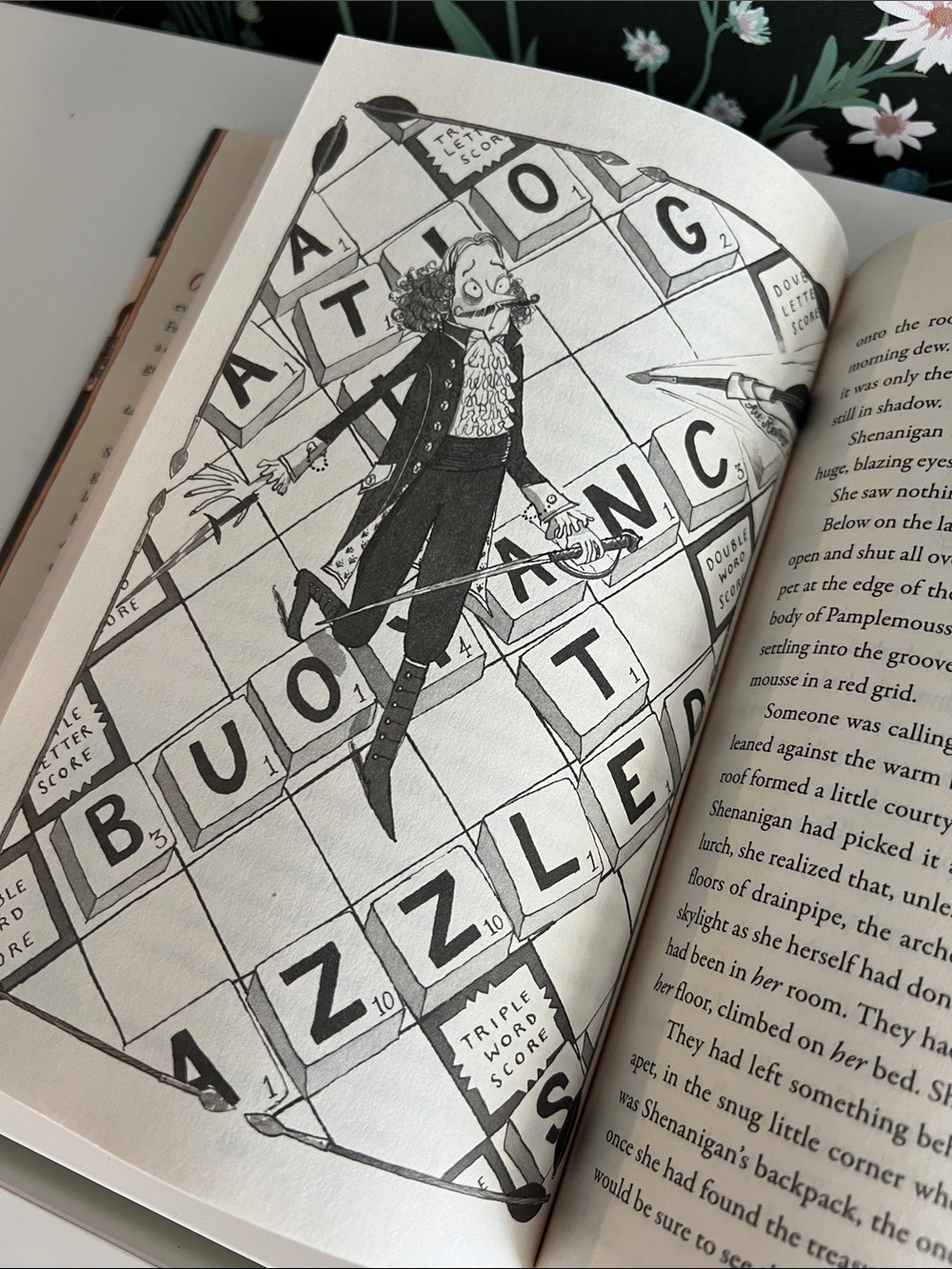 The Swifts: A Dictionary of Scoundrels, written by Beth Lincoln Hardcover book - Picture 15 of 17